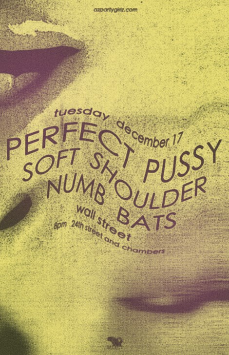 Perfect Pussy show poster